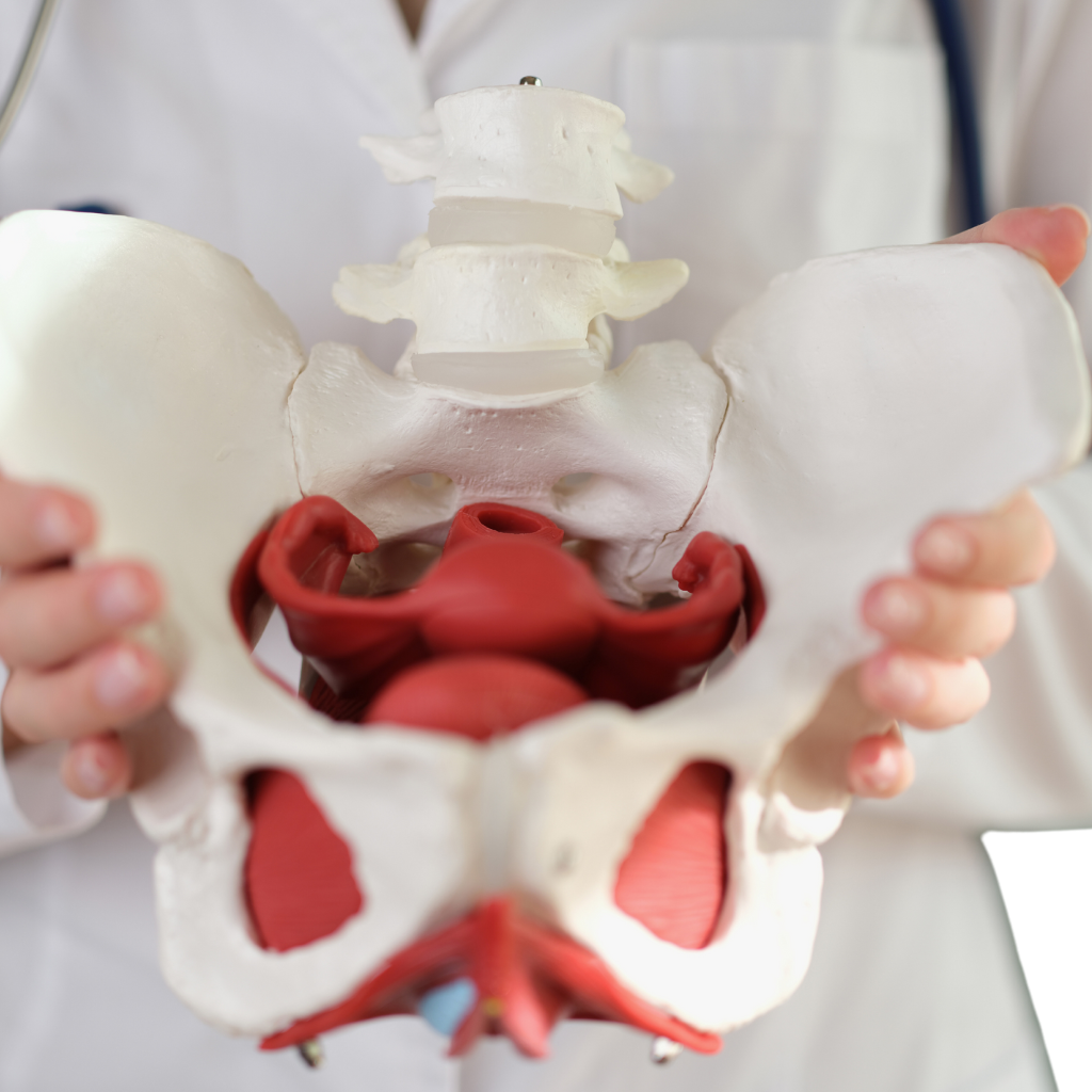 Diseño sin título (13)