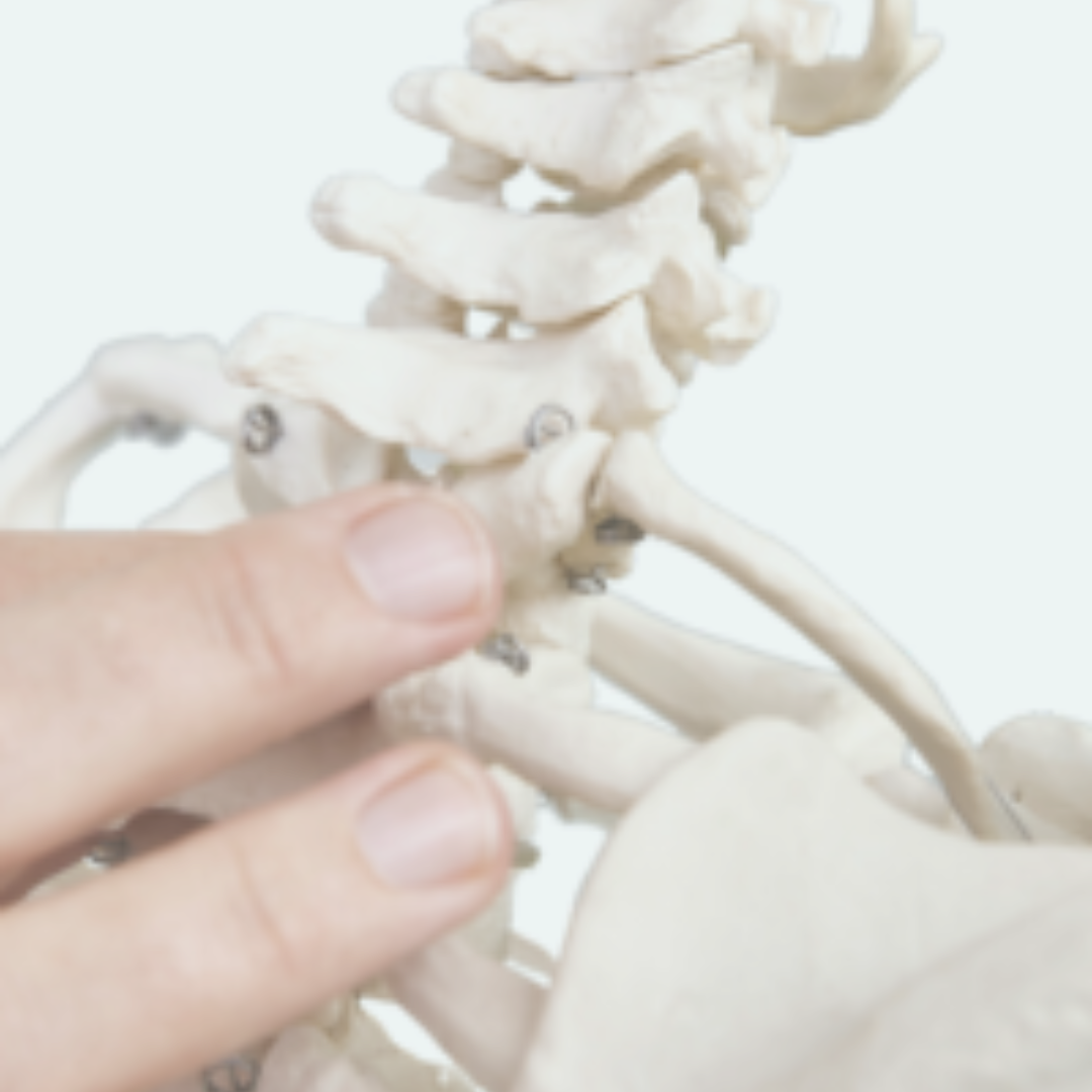 Sin título (1080 x 1080 px)